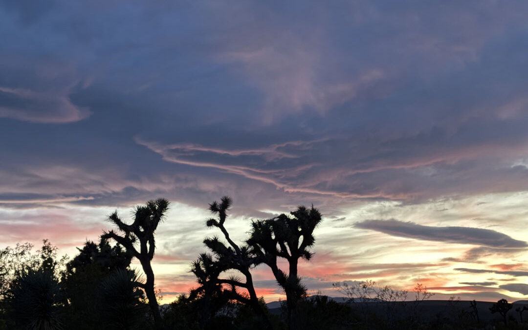 desert-view-sunset
